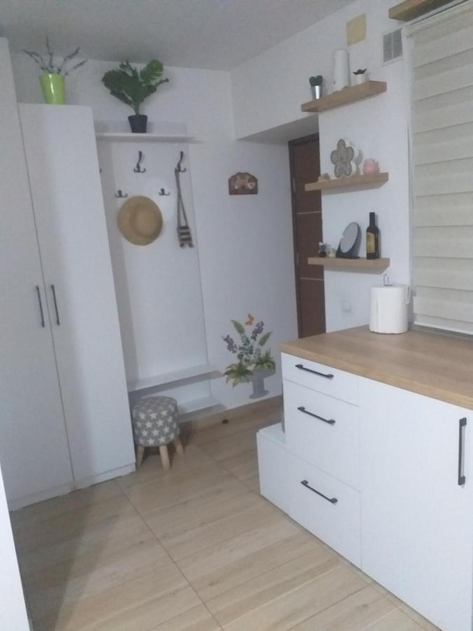 Fully Furnished Studio Sighetu Marmaţiei Εξωτερικό φωτογραφία